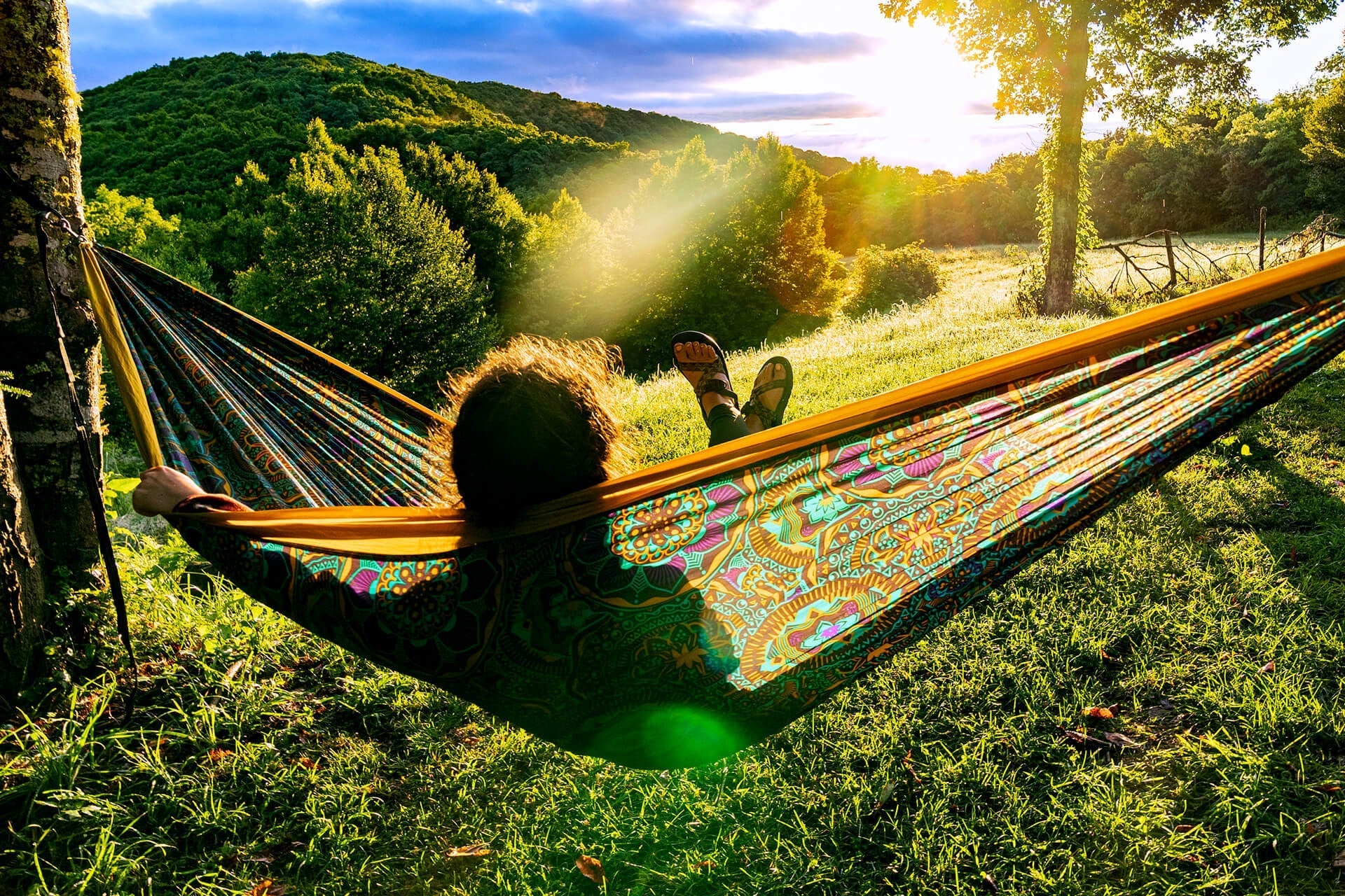 DoubleNest® Hammock Print - Image 61